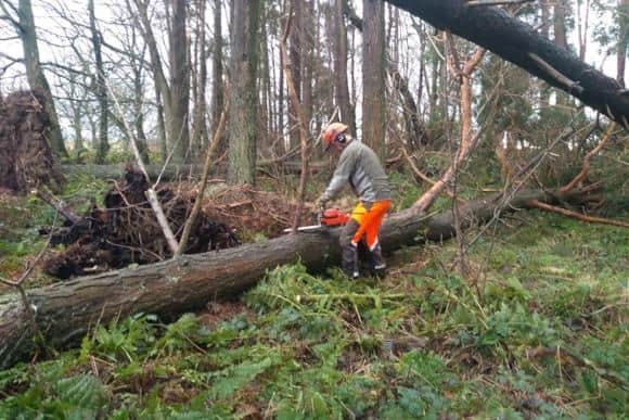 The damage caused by Storm Eowyn is still being assessed.