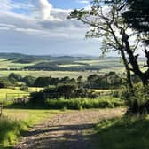 The research may inform future policies around the rural economy.