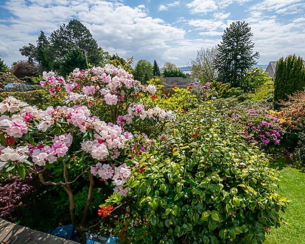 ​The garden at 10 Menzieshill Road will be open this Saturday and Sunday.