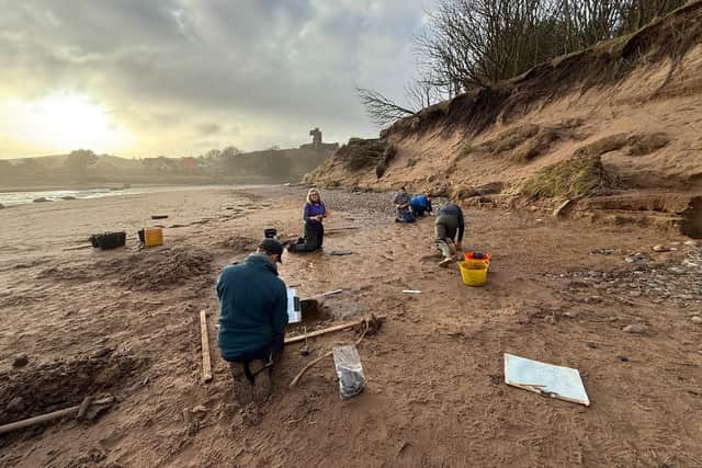 Archaeologists work to record the site before the find is lost.