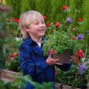 April’s Little Seedlings Club will explore wildflowers as shown by Little Seedlings Ambassador Fergus Bisset (6)