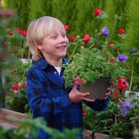 Spring into gardening: Dobbies free April workshops in Dundee