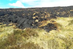 The damage caused to peatland is of particular concern.