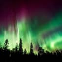 The aurora borealis.