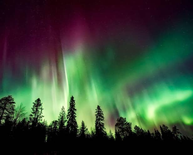The aurora borealis.