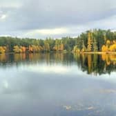 The awards recognised woodland projects from across the country.