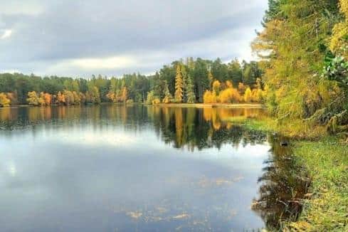 The awards recognised woodland projects from across the country.