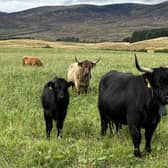 ​The Soil Association Scotland has said that going organic is an “obvious solution’ in the face of climate change.