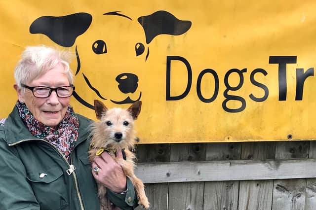 Dogs Trust is seeking anyone in the Angus and Dundee areas who can give a dog a foster home.