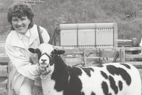 The Reserve Champion in the Jacob Sheep class at 1991’s Angus Show was Sue-Ellie, shown by Edith Crowe.