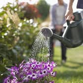 Householders are being asked to restrict their use of water.​​​​​​​