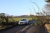 The new rules have been introduced following a review of companies' response to Storm Arwen. (Wallace Ferrier)