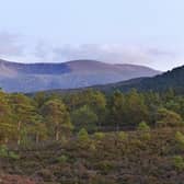The Cairngorms National Park could reach net zero by 2025, and help with Scotland’s carbon capture targets beyond that.