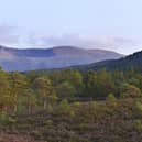 The Cairngorms National Park could reach net zero by 2025, and help with Scotland’s carbon capture targets beyond that.