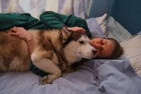Fed-up wives and girlfriends say their dog is more dependable than their man