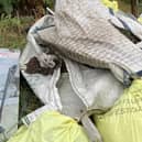 ​The campaign sets out how to dispose of rubbish properly and the penalties if people fail to do so.