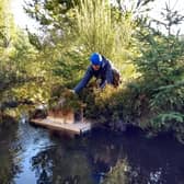 ​The Scottish Invasive Species Initiative is looking for volunteers to help fill gaps in its existing network of volunteers.