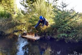 ​The Scottish Invasive Species Initiative is looking for volunteers to help fill gaps in its existing network of volunteers.