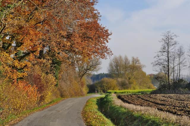 Among other projects, the funding will be used to support the creation of hedgerows in locations across Angus.