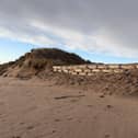 Engineered sandbags have been placed at some of the dunes’ most vulnerable areas.
