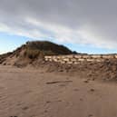 Engineered sandbags have been placed at some of the dunes’ most vulnerable areas.