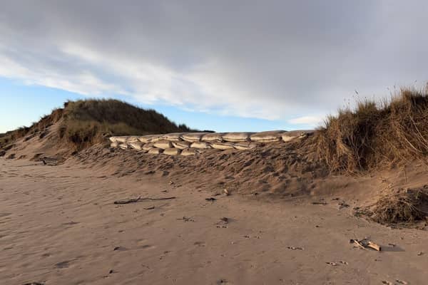 Engineered sandbags have been placed at some of the dunes’ most vulnerable areas.