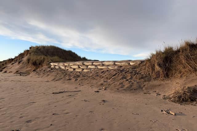 Engineered sandbags have been placed at some of the dunes’ most vulnerable areas.