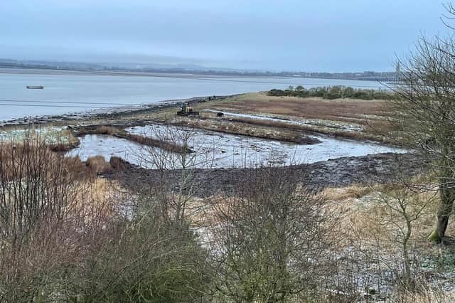 Work to clear the saltpan pools finished just before Christmas, and waders and ducks started to return almost immediately.