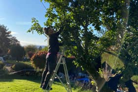 Members of Sustainable Kirriemuir have been collecting surplus apples from around the area in readiness for the event.