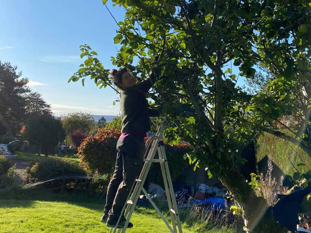 Members of Sustainable Kirriemuir have been collecting surplus apples from around the area in readiness for the event.