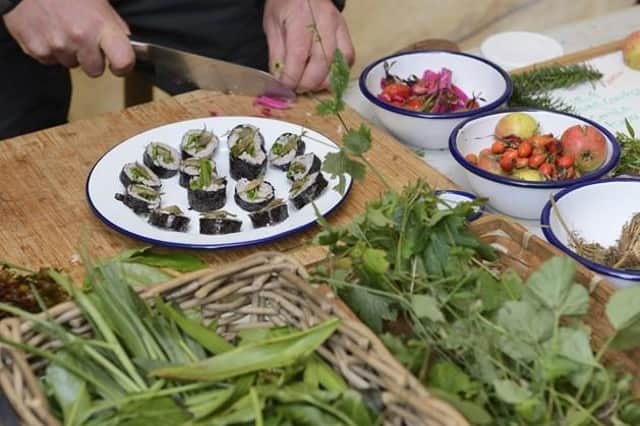 Foraging Fortnight offers exciting opportunities to find out about Scotland’s natural larder.