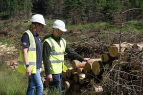 Guy Muir and West Fraser and harvesting and wood supply manager Carol Davidson inspect the harvested timber damaged by the Cannich wildfire​​​​​​​​​​​​​​​​​​​​​​​​​​​​​​​​​​​​​​​​​​​​​​​​​​​​​​​​.