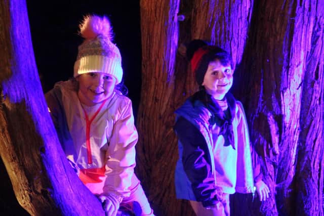 Violet Herd, 7 and brother Isaac, 6 having fun in the trees.