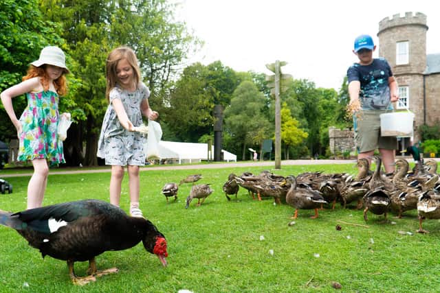 The country park is popular with visitors of all ages.
