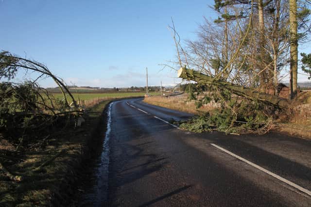 Storm Arwen caused devastation and lengthy power cuts across Angus. Public bodies and elected politicians, as well as OFGEM must conduct a detailed evaluation of the response to the storm and what changes need to be made for the future. (Wallace Ferrier)