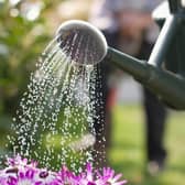 Customers are are being asked to be mindful of how much water they use in outdoor spaces such as their lawns.