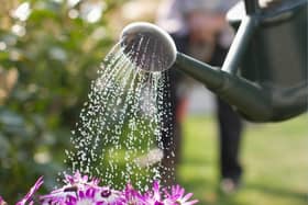 Customers are are being asked to be mindful of how much water they use in outdoor spaces such as their lawns.