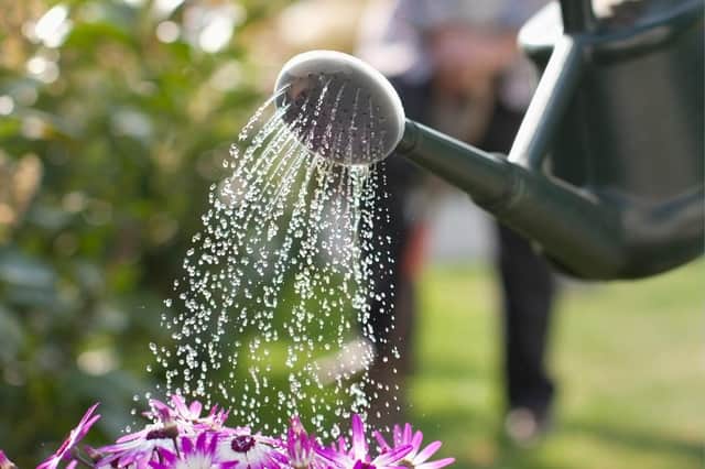 Customers are are being asked to be mindful of how much water they use in outdoor spaces such as their lawns.