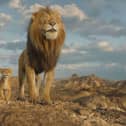 Mufasa