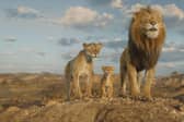 Mufasa