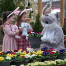 The Easter Bunny Afternoon Tea is a brand-new event at Dobbies this Easter