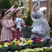 The Easter Bunny Afternoon Tea is a brand-new event at Dobbies this Easter