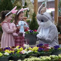 Hop along to Dobbies’ Dundee store this Easter
