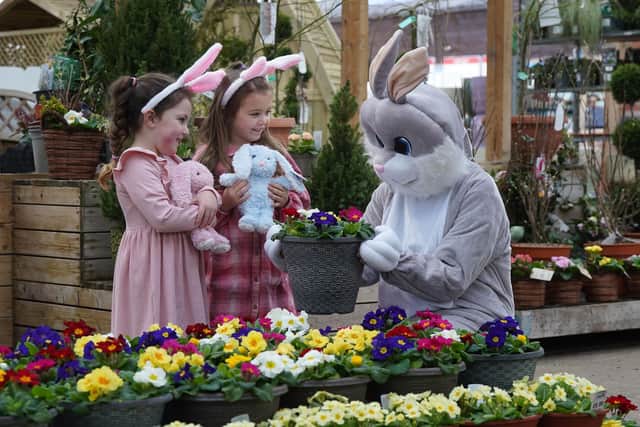 The Easter Bunny Afternoon Tea is a brand-new event at Dobbies this Easter