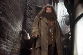 A Warner Bros still image of Robbie Coltrane as Rubeus Hagrid