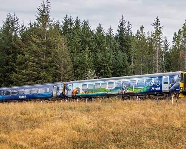 The clear-up operation is being carried out across the rail network. (Pic: Patrick Mackie/Geograph)