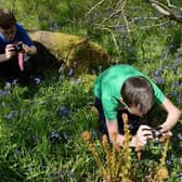 More exposure to outdoor learning could stimulate a stronger connection to nature and its benefits.