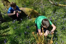 More exposure to outdoor learning could stimulate a stronger connection to nature and its benefits.