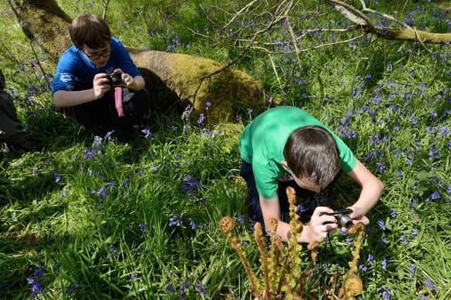 More exposure to outdoor learning could stimulate a stronger connection to nature and its benefits.