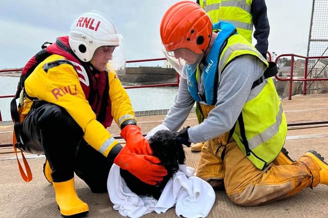 Cocker spaniel Skye with members of the Arbroath lifeboat crew.